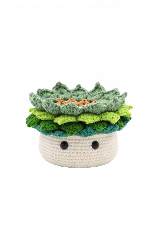 Amigurumi Crochet Kit 2